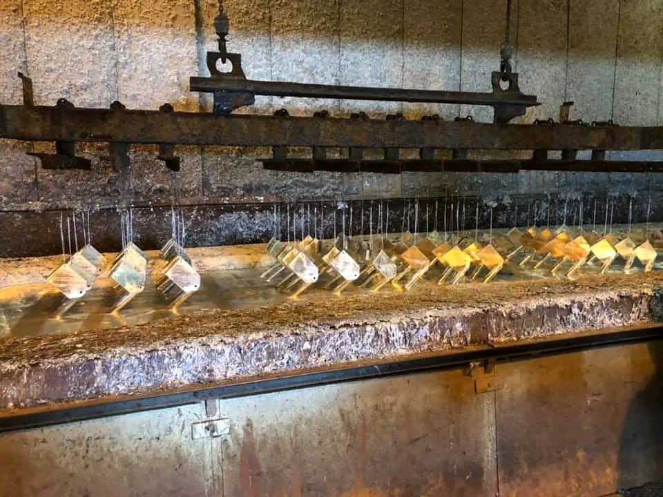 WhatsApp Image 2026 02 10 at 12.18.37 PM (2)