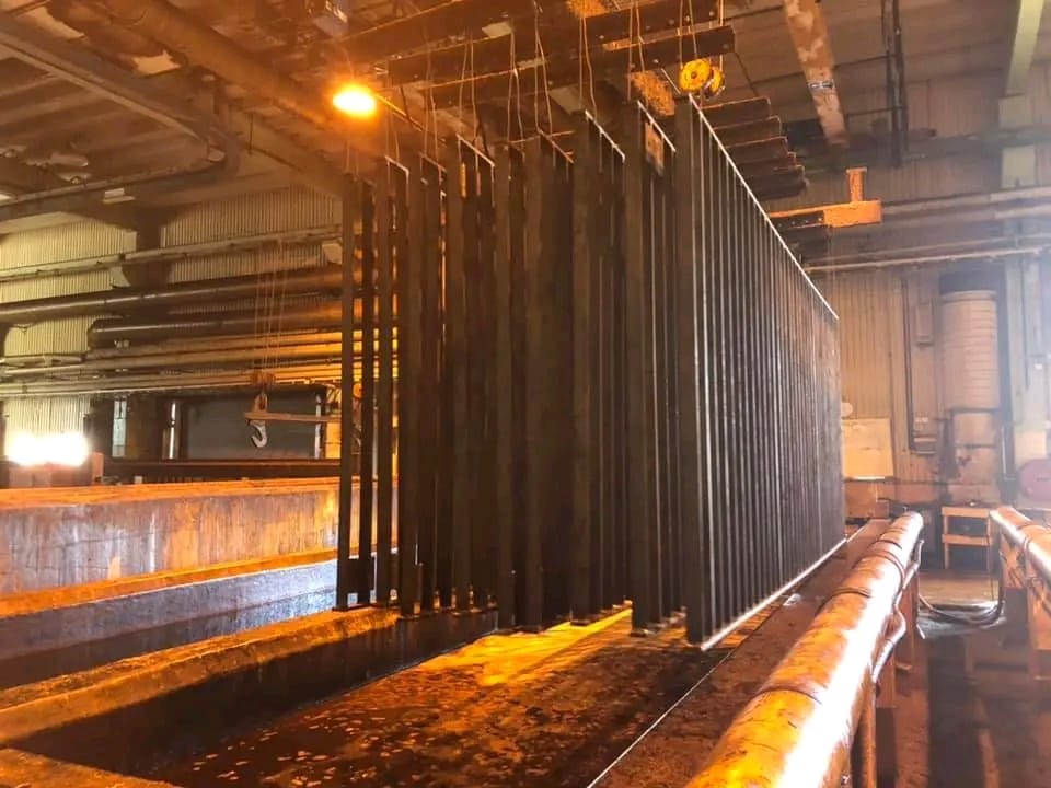 WhatsApp Image 2026 02 10 at 12.18.39 PM (1)